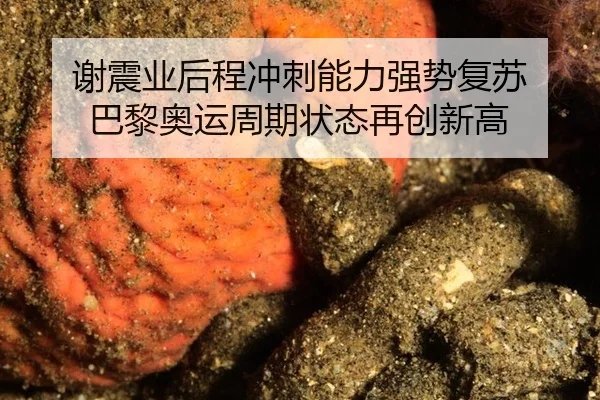 xie-zhen-ye-hou-cheng-chong-ci-neng-li-qiang-shi-fu-su-ba-li-ao-yun-zhou-qi-zhuang-tai-zai-chuang-xin-gao-2-520.jpg