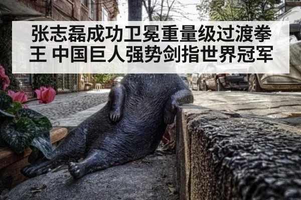 张志磊成功卫冕重量级过渡拳王 中国巨人强势剑指世界冠军